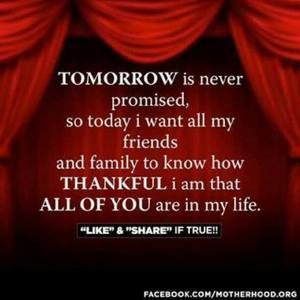 Meet your Posher, Elsa